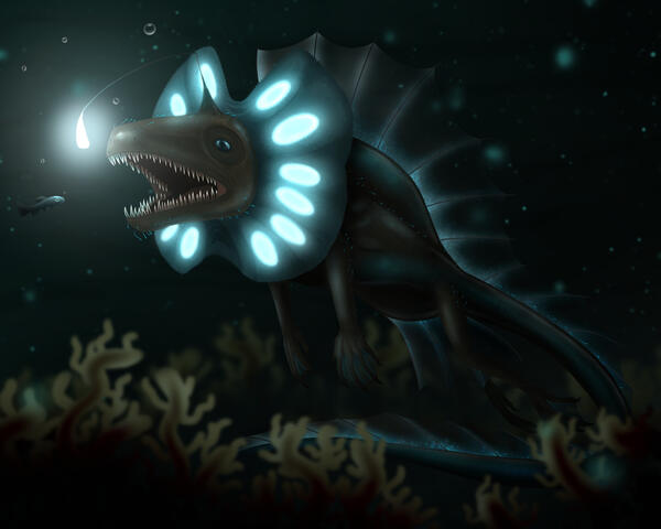 Frilled Angler